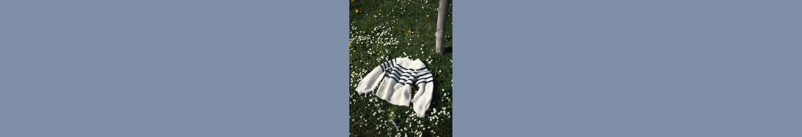 Cocosweater i Hjelholts sidste 