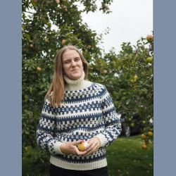 Garnpakke: Retrosweater 15