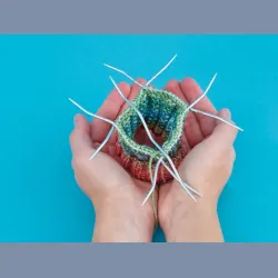 Addi Crasy Snake Lace 15 cm